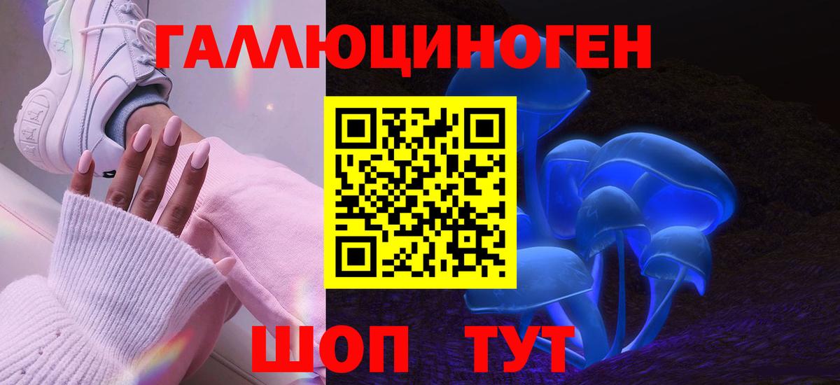 Галлюциногенные грибы Psilocybe Выкса